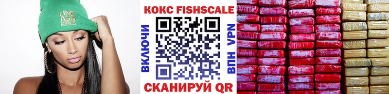 КОКАИН Fish Scale  как найти наркотики  Ветлуга 
