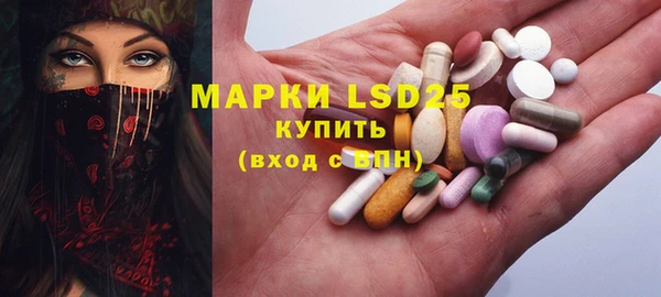 стаф Алексин