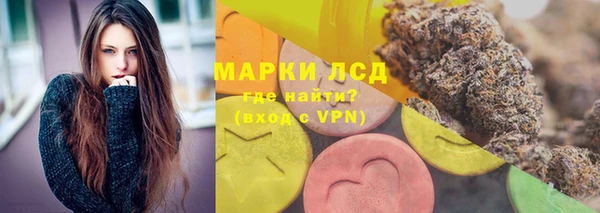 ПСИЛОЦИБИНОВЫЕ ГРИБЫ Алзамай